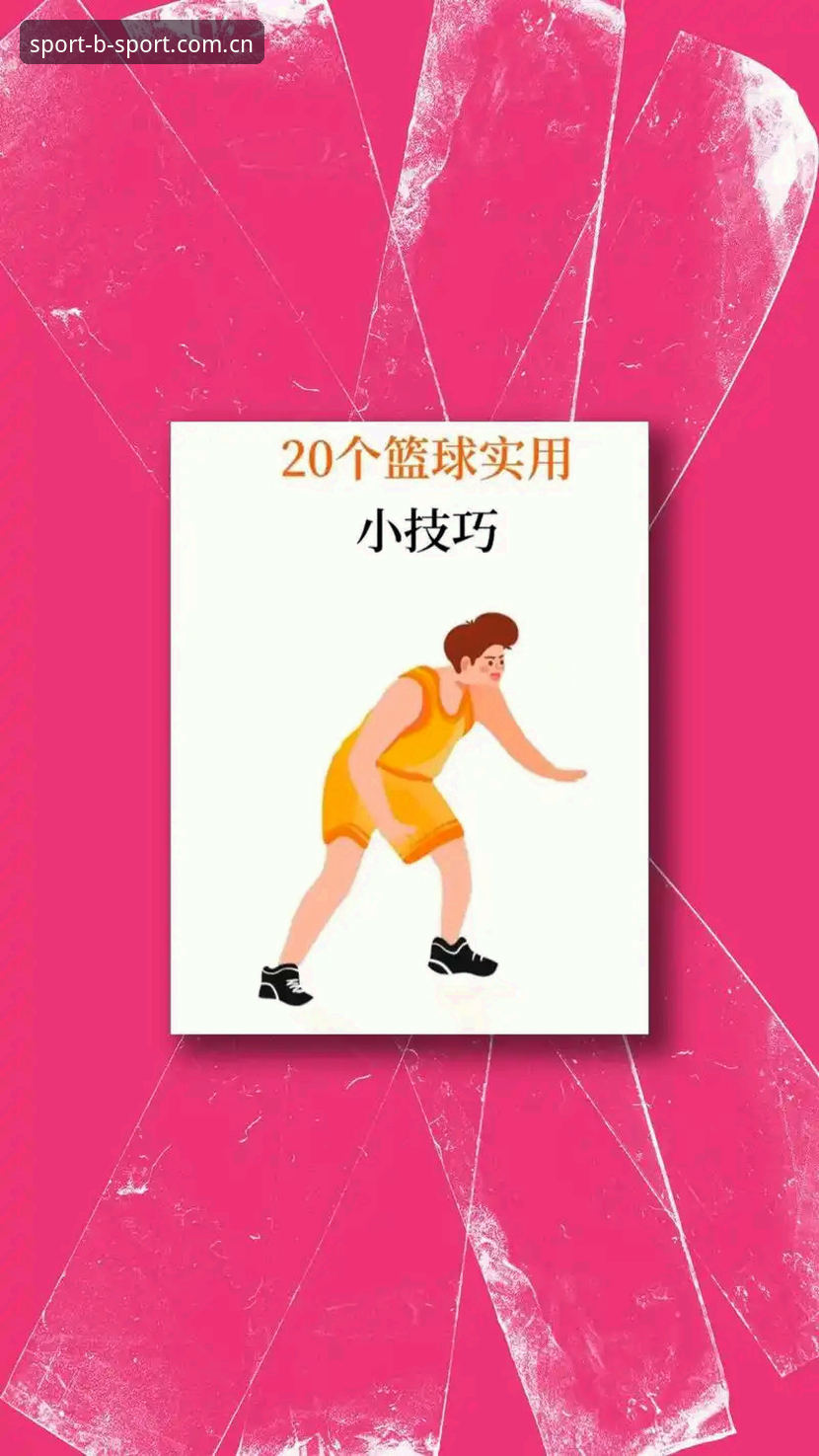 B体育平台实用指南：全面掌握B体育在线体育最新版的操作技巧