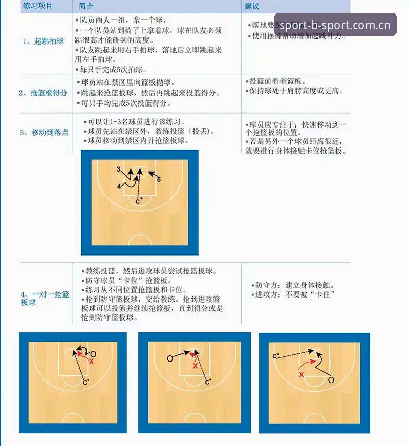 B体育平台实用指南：全面掌握B体育在线体育最新版的操作技巧